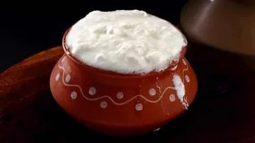 Dadhi (Curds)
